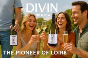Divin NoLow alkoholfrei